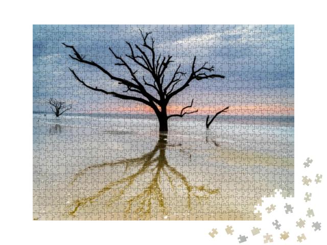 An Aged, Weathered Oak Tree Lingers on the Edisto Island... Jigsaw Puzzle with 1000 pieces