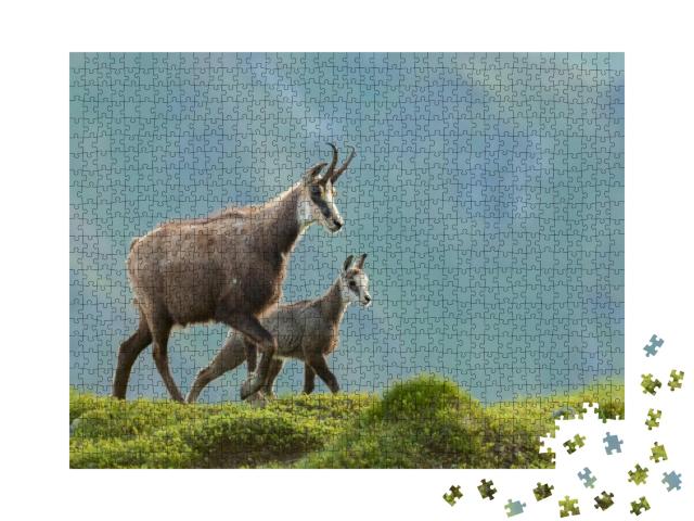 Chamois Mom with Baby Walking on the Mountain Meadow, Rup... Jigsaw Puzzle with 1000 pieces