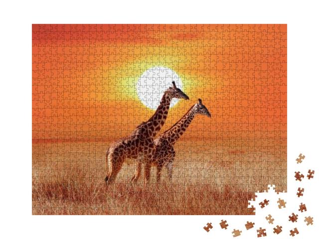 Giraffe in the African Savanna Against the Backdrop of Be... Jigsaw Puzzle with 1000 pieces