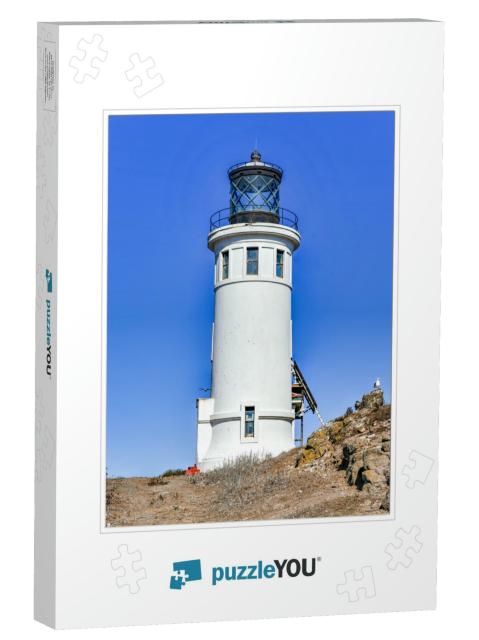 Anacapa Island Lighthouse with Nesting Seagulls At Channe... Jigsaw Puzzle
