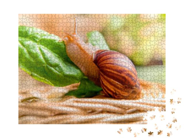 Snail on a Green Leaf. Close-Up. Copy Space... Jigsaw Puzzle with 1000 pieces