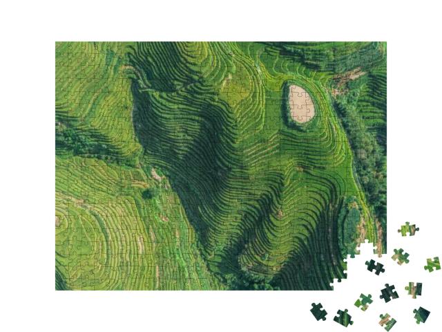 Top View or Aerial Shot of Fresh Green & Yellow Rice Fiel... Jigsaw Puzzle with 500 pieces
