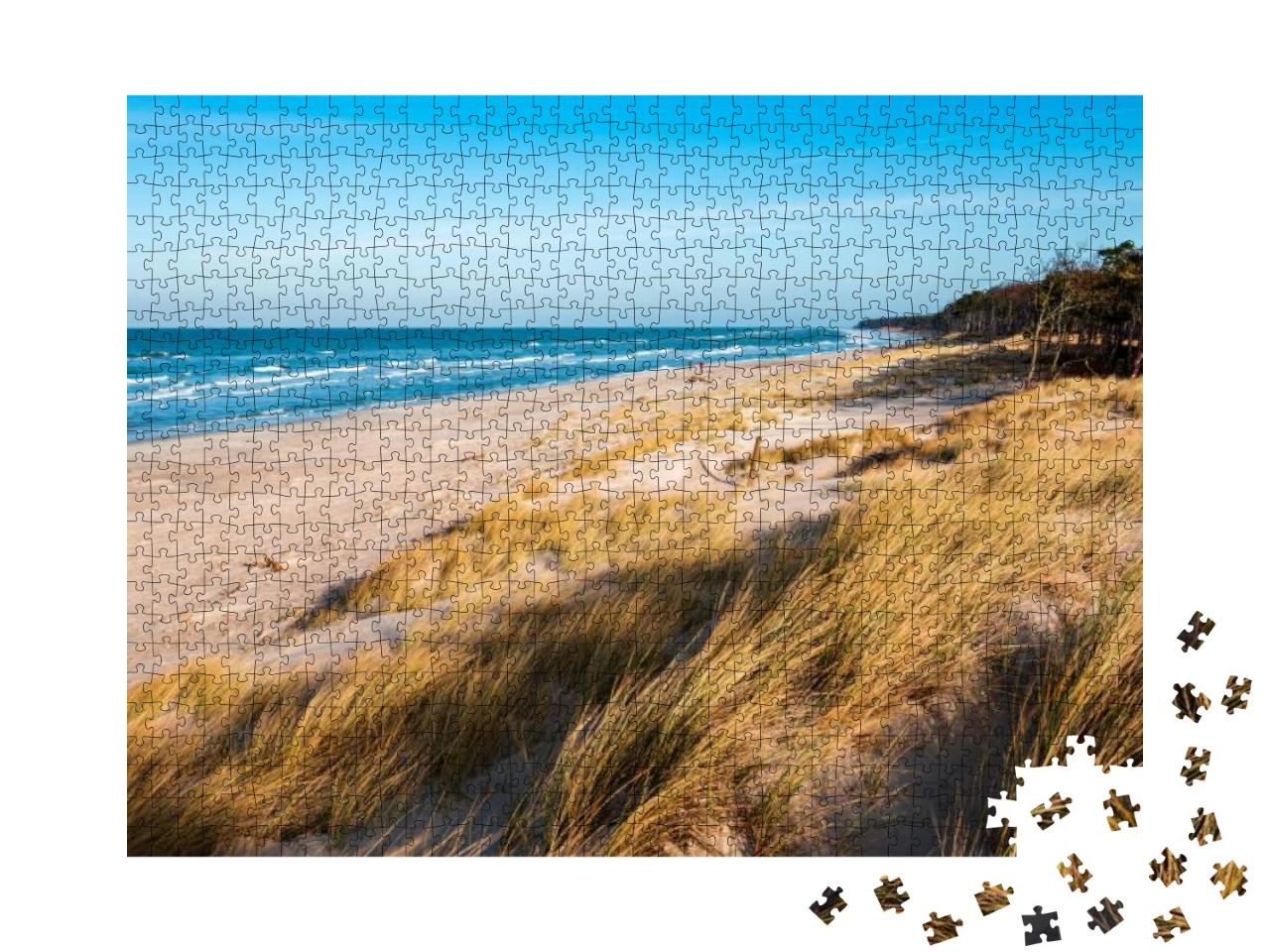 Coastal Dunes by the Baltic Sea, Darss Peninsula, Germany... Jigsaw Puzzle with 1000 pieces