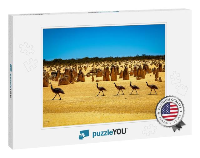 Emus At the Pinnacles Desert, Wa, Australia... Jigsaw Puzzle