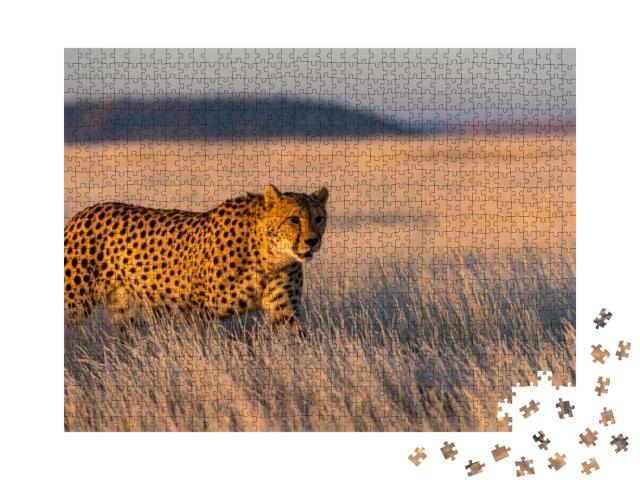 Cheetah Sneaks Through the Frozen Grass... Jigsaw Puzzle with 1000 pieces