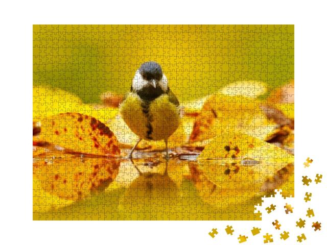 Great Tit, Parus Major, Black & Yellow Songbird Sitting o... Jigsaw Puzzle with 1000 pieces