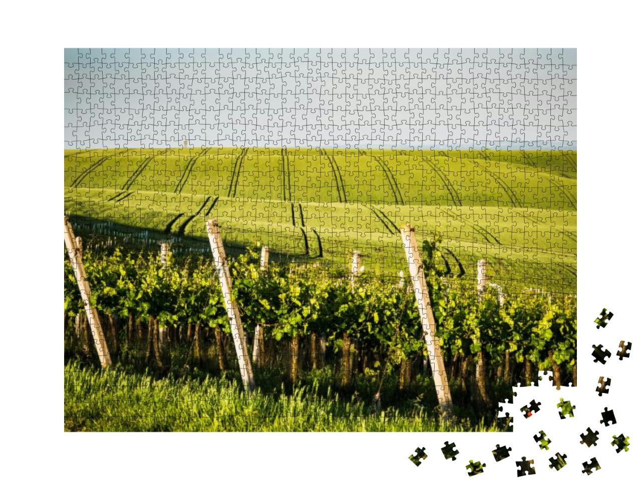 Vine Yard & Farm Fields, Rolling Hills... Jigsaw Puzzle with 1000 pieces
