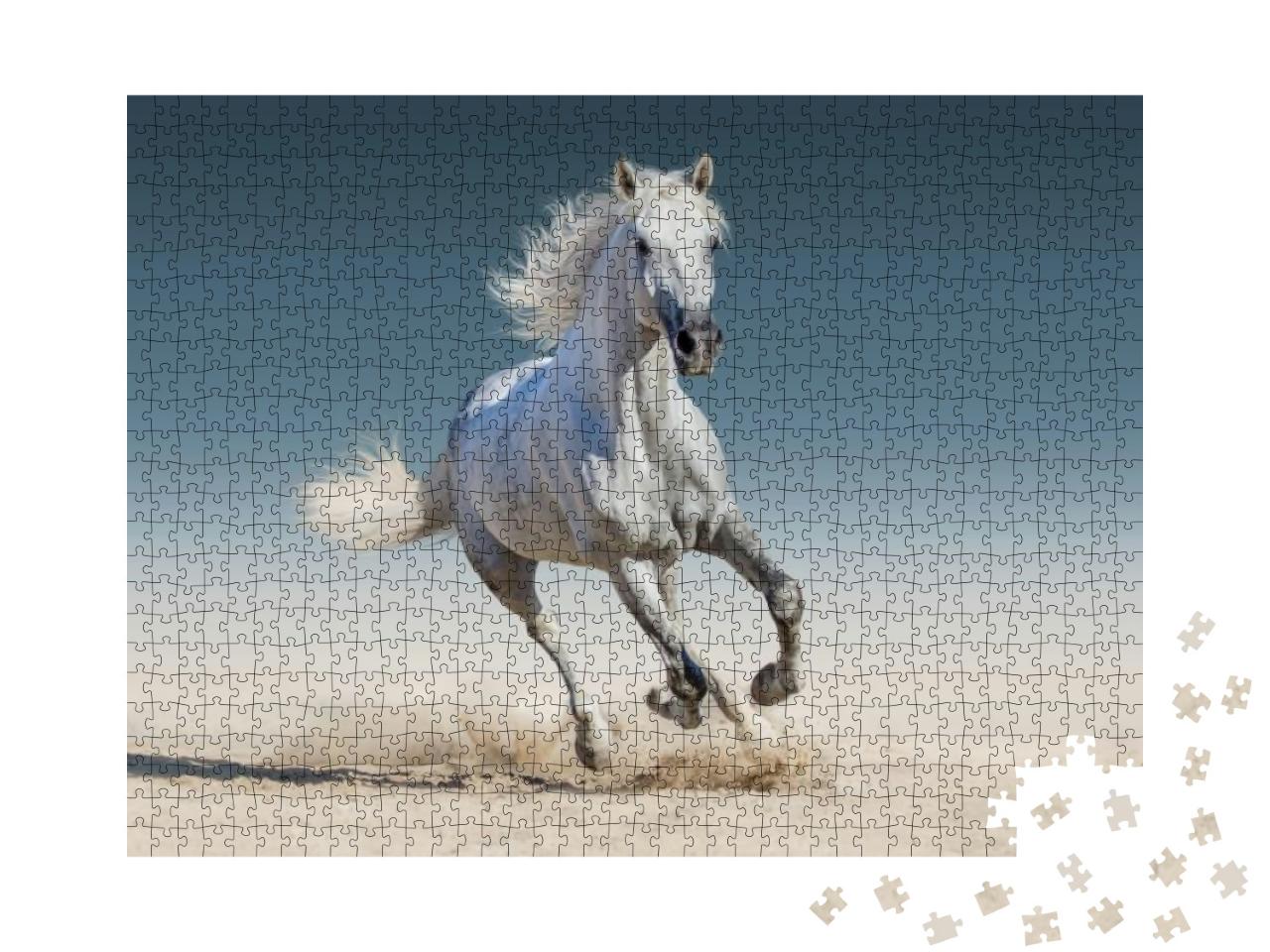 White Horse Run Gallop... Jigsaw Puzzle with 1000 pieces