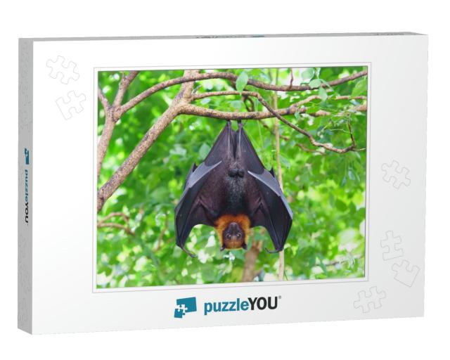 Fruit Bat Hanging on Tree in Forest. Lyles Flying Fox... Jigsaw Puzzle