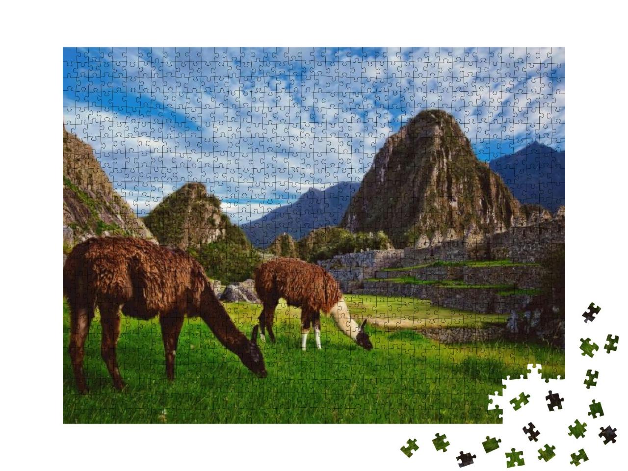 Two Llamas Eat Grass in the Inca Citadel of Machu Picchu... Jigsaw Puzzle with 1000 pieces