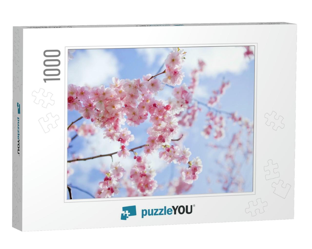 Blooming Sakura with Pink Flowers in Spring... Jigsaw Puzzle with 1000 pieces