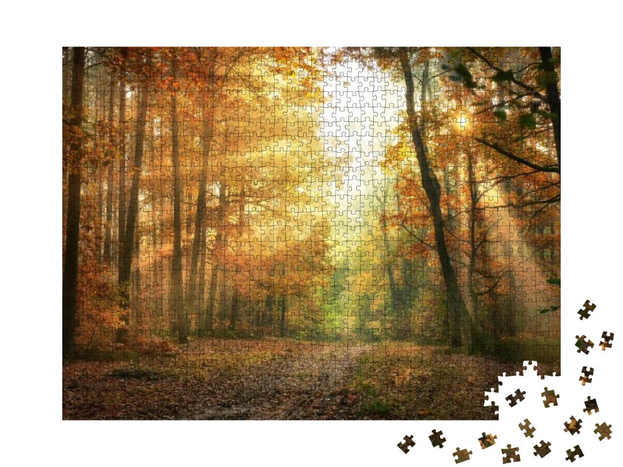 Autumn Morning in the Forest... Jigsaw Puzzle with 1000 pieces