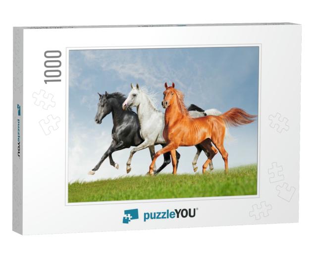 Three Arab Horse Runs Free... Jigsaw Puzzle with 1000 pieces