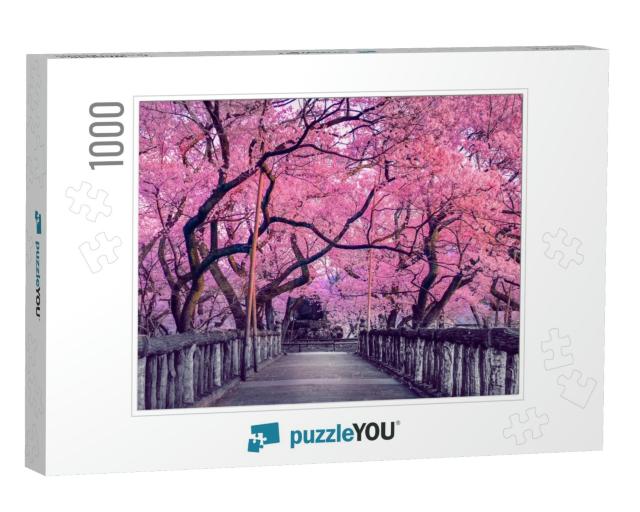 Beautiful Pink Cherry Trees Blooming Extravagantly At the... Jigsaw Puzzle with 1000 pieces