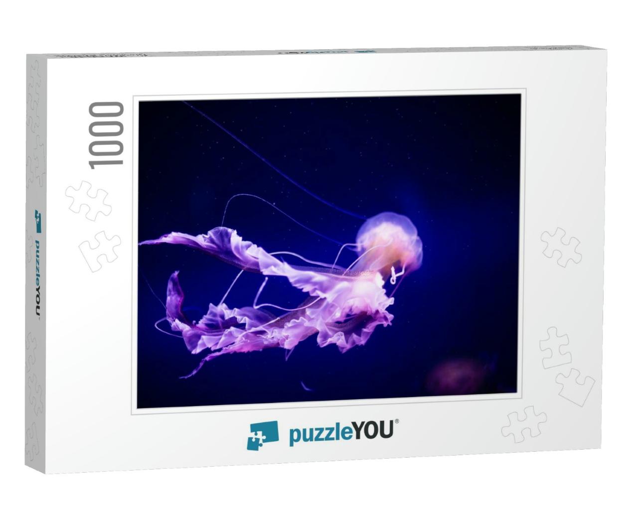 Beautiful Jellyfish, MedUSA in the Neon Light with the Fis... Jigsaw Puzzle with 1000 pieces