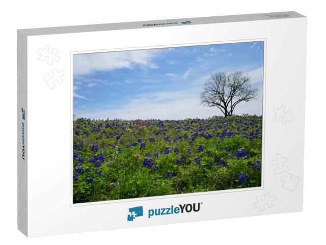 Patch of Bluebonnet Wildflowers with Green Country Backgr... Jigsaw Puzzle