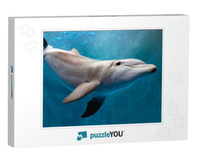 Dolphin Underwater on Blue Ocean Background Looking At Yo... Jigsaw Puzzle