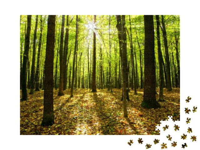 Autumn Forest Trees. Nature Green Wood Sunlight Backgroun... Jigsaw Puzzle with 1000 pieces