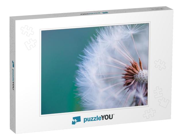 Closeup of Dandelion with Blurred Background, Artistic Na... Jigsaw Puzzle