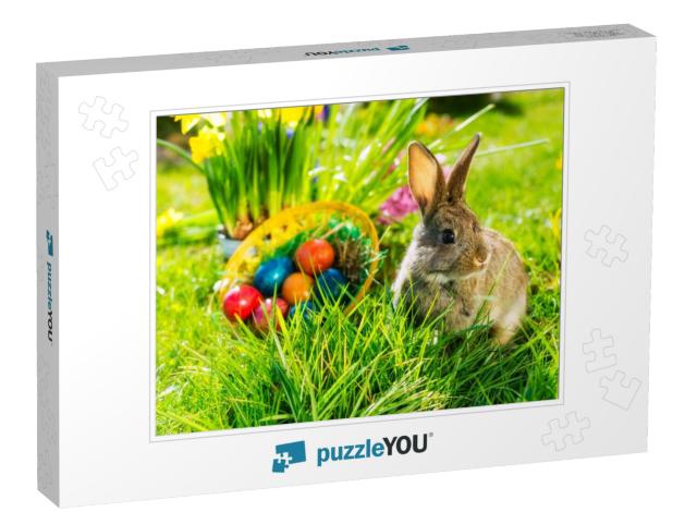 Living Easter Bunny with Eggs in a Basket on a Meadow in... Jigsaw Puzzle