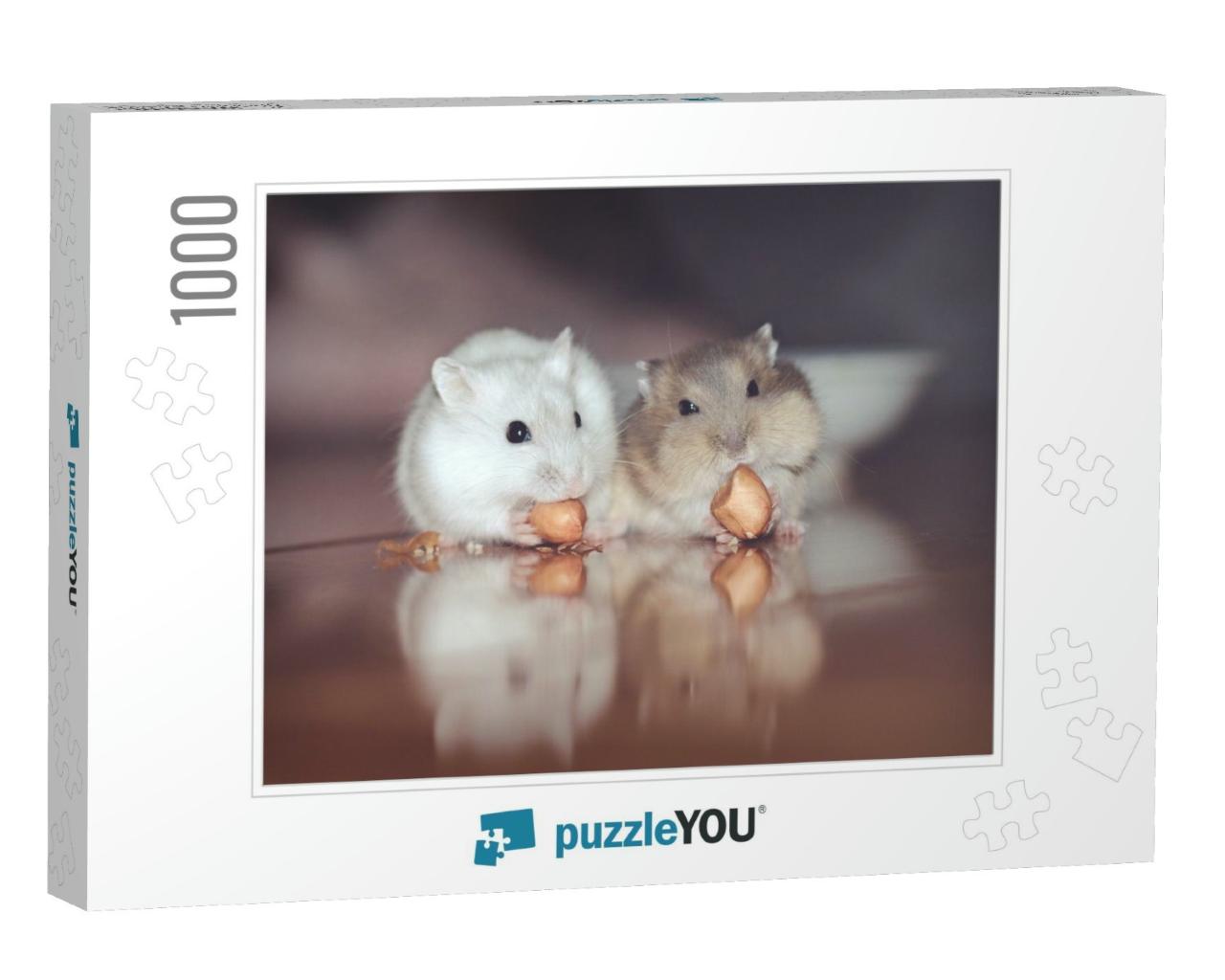 Cute Little Lovely Russian Dwarf Hamster Couple Very in L... Jigsaw Puzzle with 1000 pieces