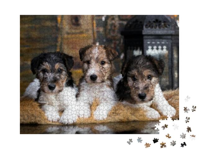 Fox Terrier Puppy on a Yellow-Gold Background... Jigsaw Puzzle with 1000 pieces