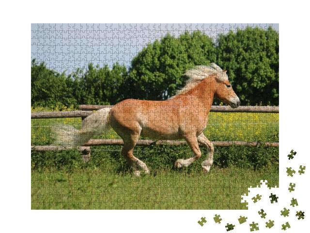 Beautiful Haflinger Horse is Running on the Paddock in th... Jigsaw Puzzle with 1000 pieces