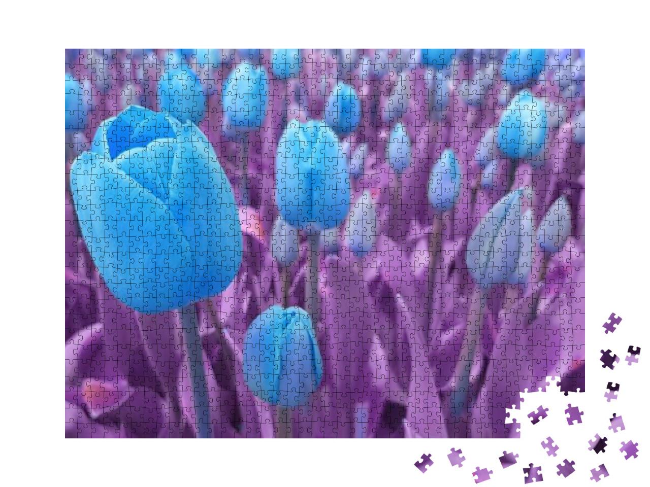 Blue Tulips Against Pink Background. Blue Tulips Against... Jigsaw Puzzle with 1000 pieces