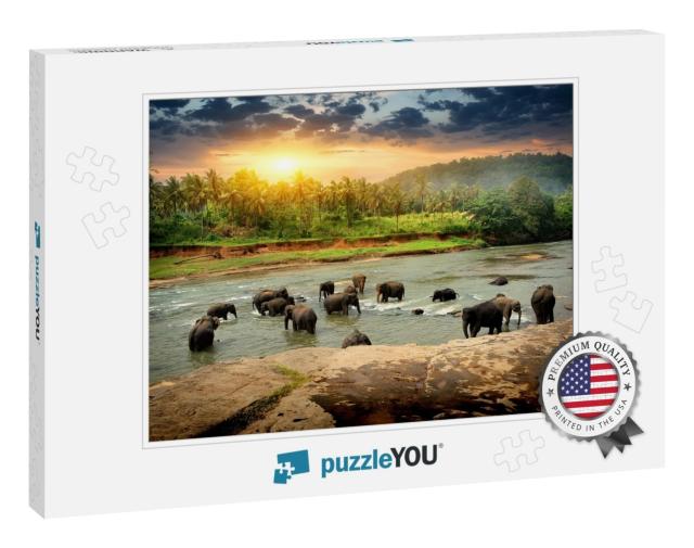 Herd of Elephants Bathing in the Jungle River of Sri Lank... Jigsaw Puzzle