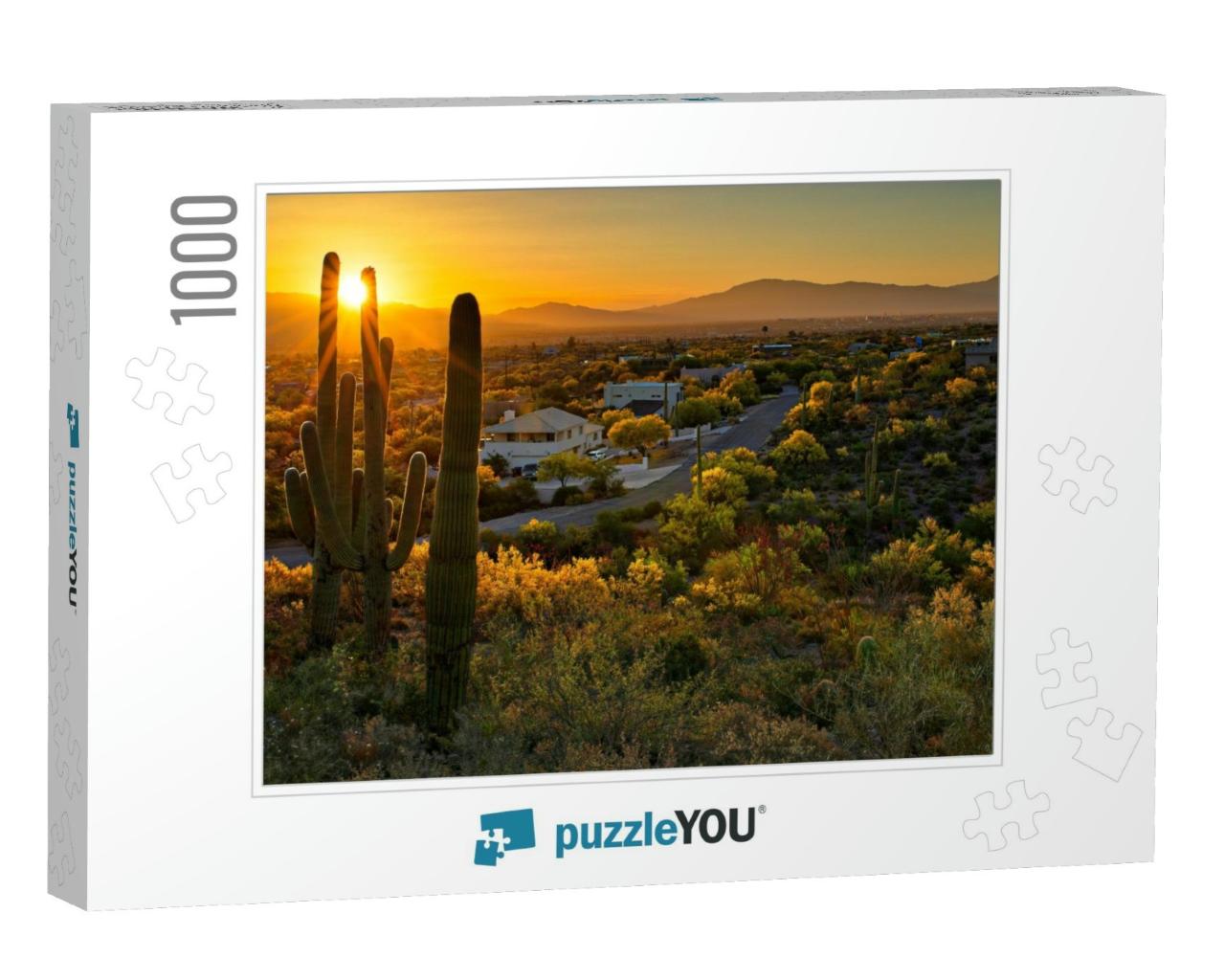 Houses Between Saguaros in Tucson Arizona... Jigsaw Puzzle with 1000 pieces
