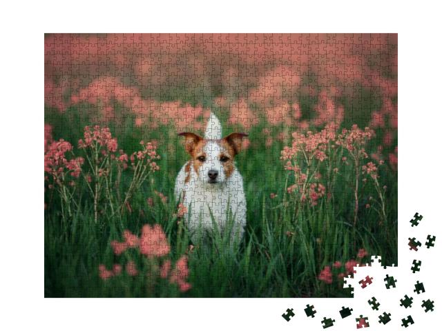 Portrait of a Little Jack Russell Terrier in the Colors o... Jigsaw Puzzle with 1000 pieces