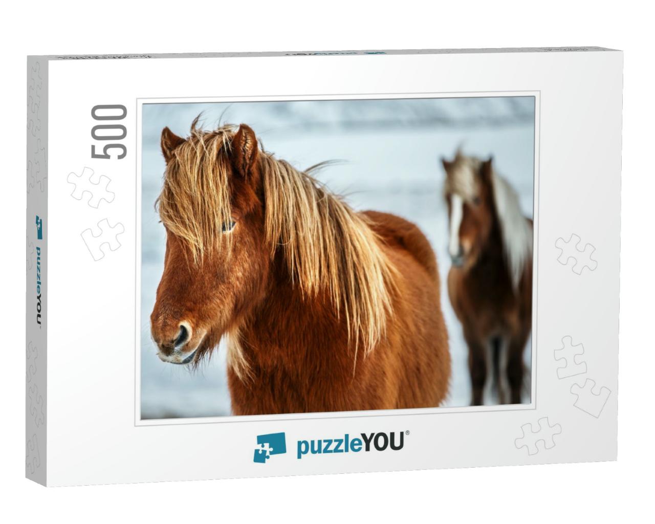 Portrait of a Beautiful Icelandic Horses, Pair of a Gorge... Jigsaw Puzzle with 500 pieces