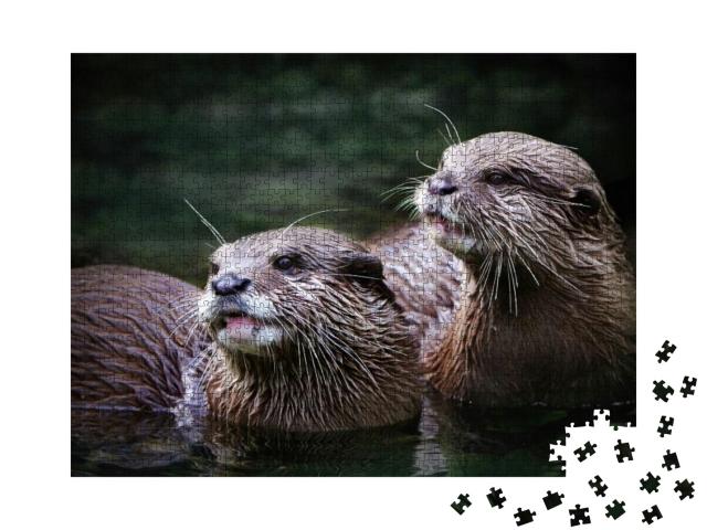 Cute Otter Couple in the Water... Jigsaw Puzzle with 1000 pieces