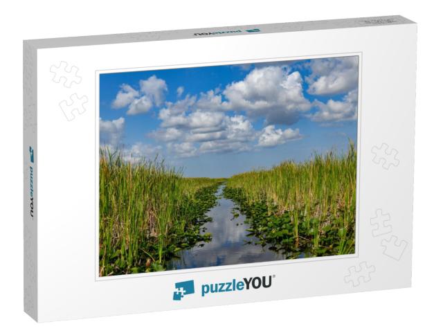 Florida Wetland in the Everglades National Park in Usa. P... Jigsaw Puzzle