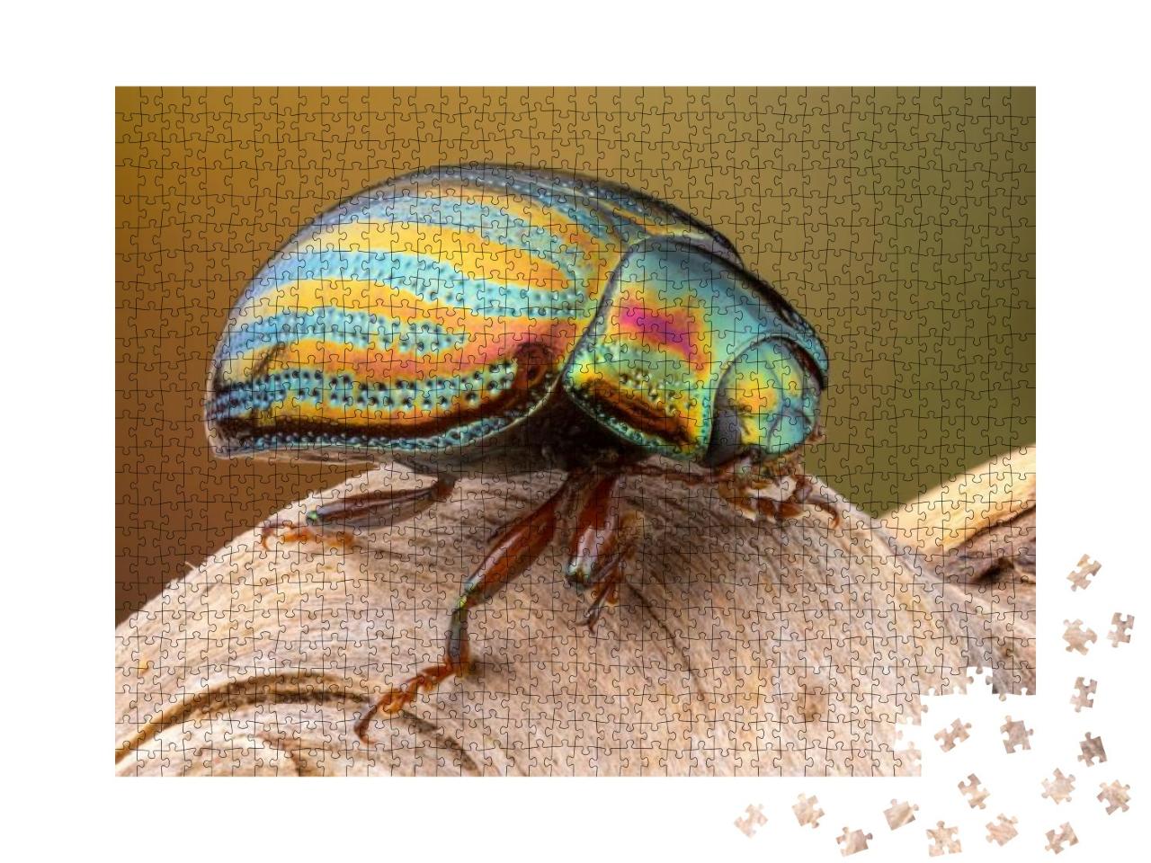 Close Up of a Colorful Rosemary Beetle on a Branch... Jigsaw Puzzle with 1000 pieces