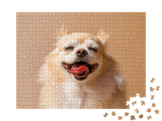 Cute Smile Chihuahua Brown Color Happiness Friend Lapdog... Jigsaw Puzzle with 1000 pieces