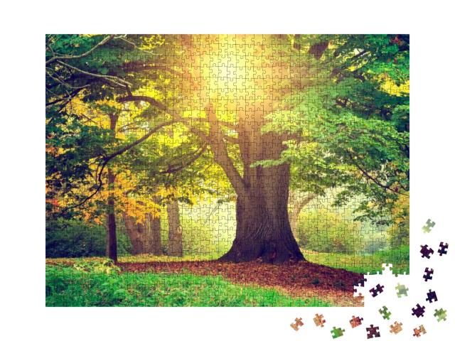 Beautiful Park Tree... Jigsaw Puzzle with 1000 pieces