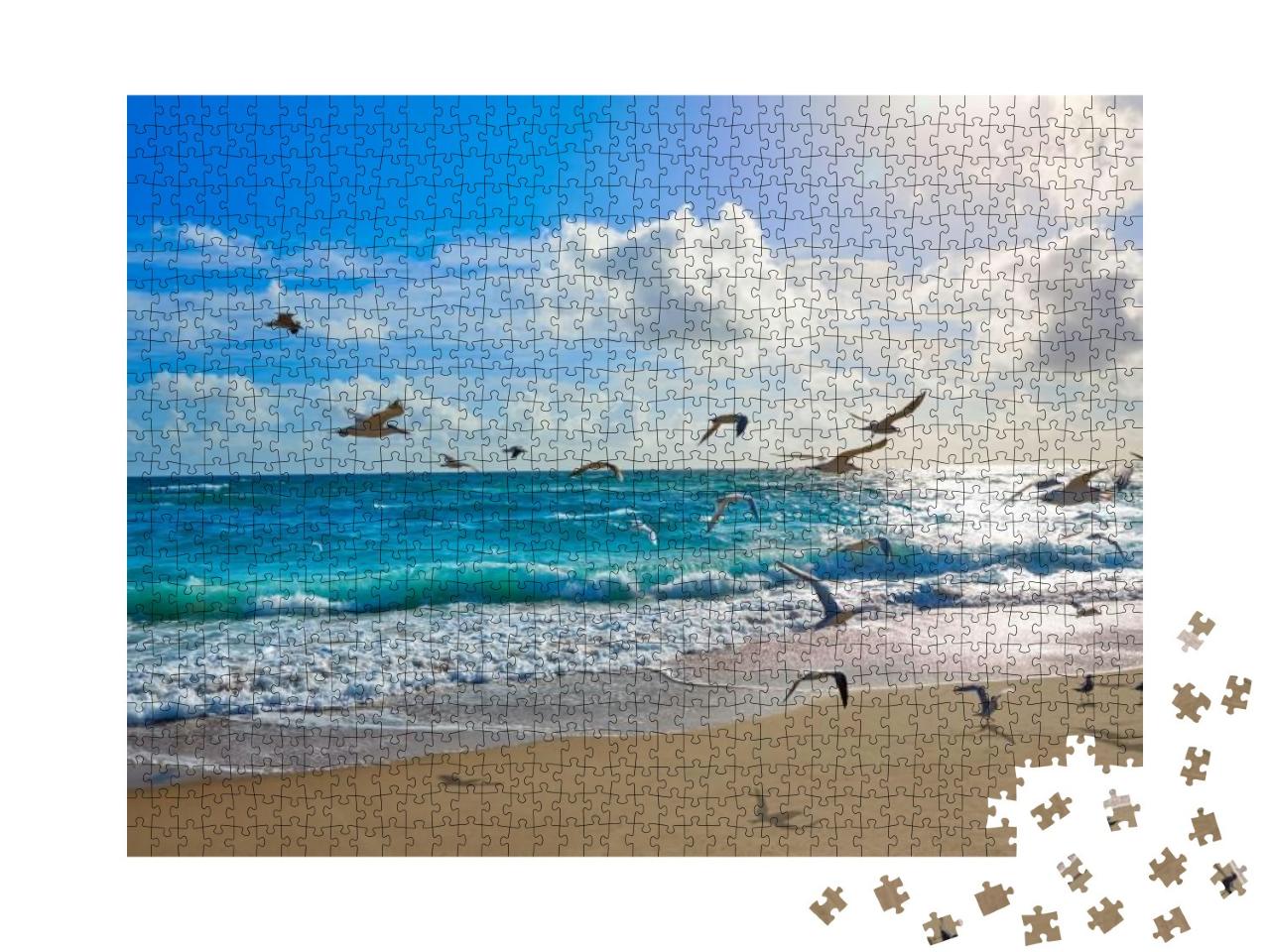 Singer Island Beach Seagulls At Palm Beach Florida in Usa... Jigsaw Puzzle with 1000 pieces