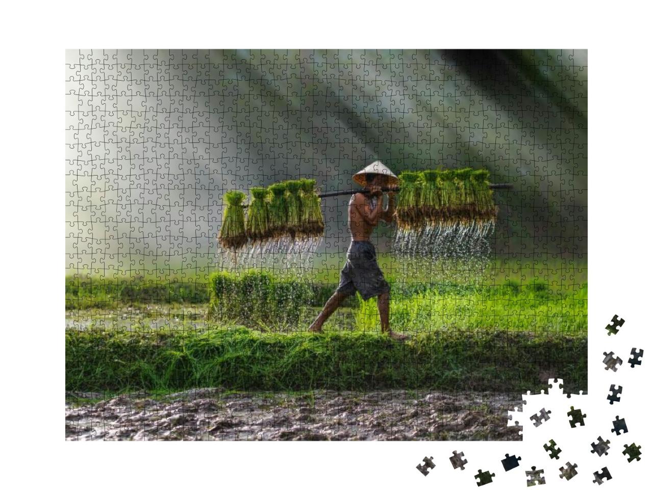 Vietnam Farmer Bearing Seedlings of Rice to Plant, Asian... Jigsaw Puzzle with 1000 pieces