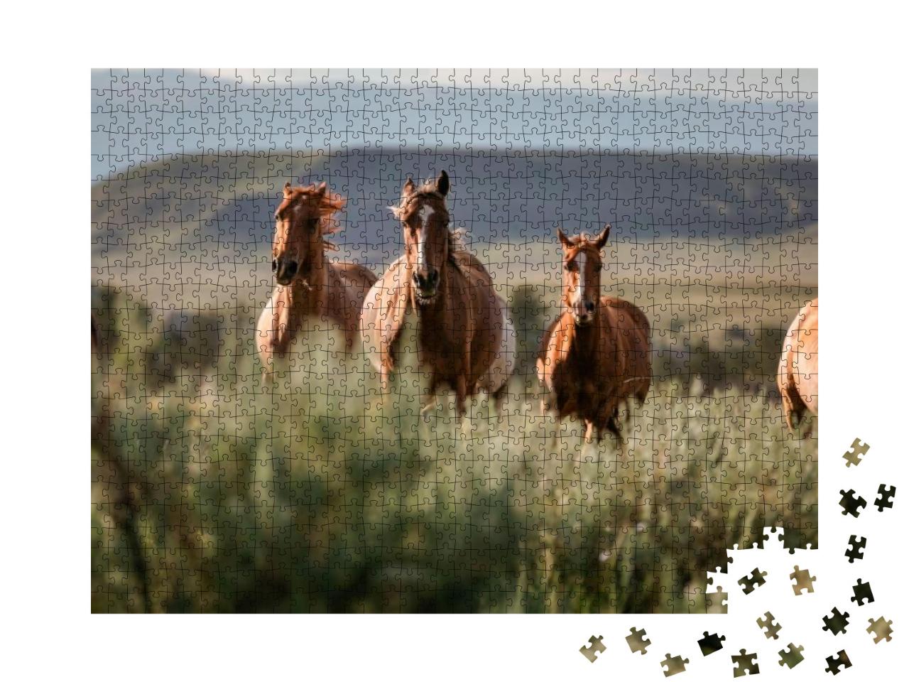 Beautiful Herd of American Quarter Horse Ranch Horses in... Jigsaw Puzzle with 1000 pieces