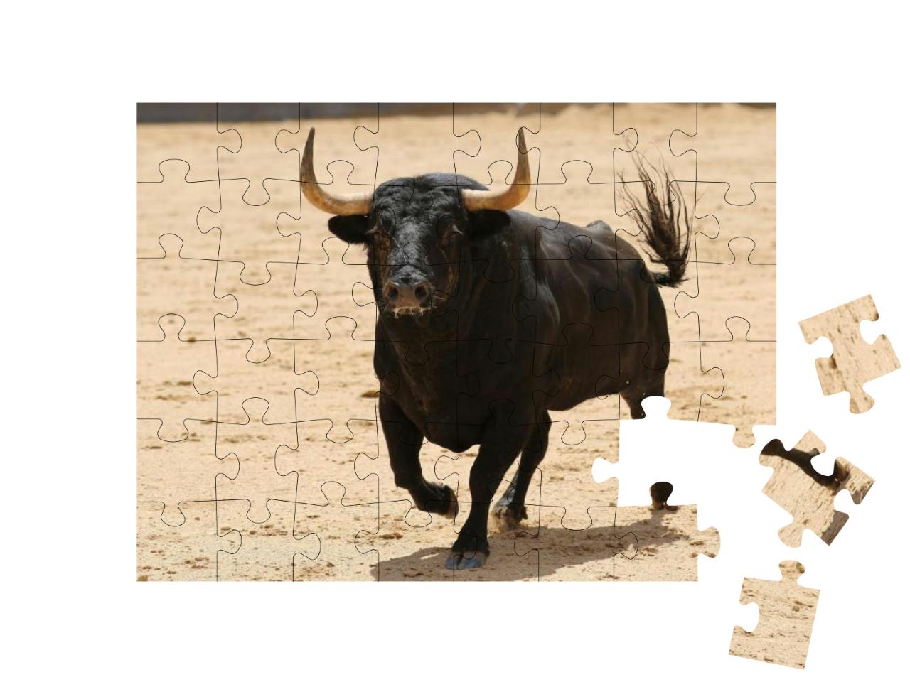 Spanish Bull in the Bullring... Jigsaw Puzzle with 48 pieces