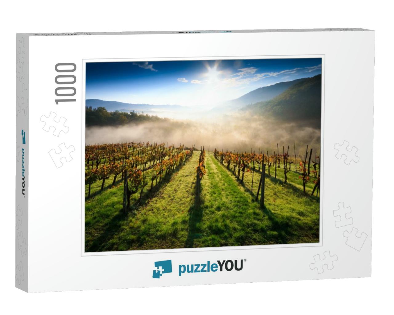 Tuscan Vineyard Landscape in Autumn... Jigsaw Puzzle with 1000 pieces