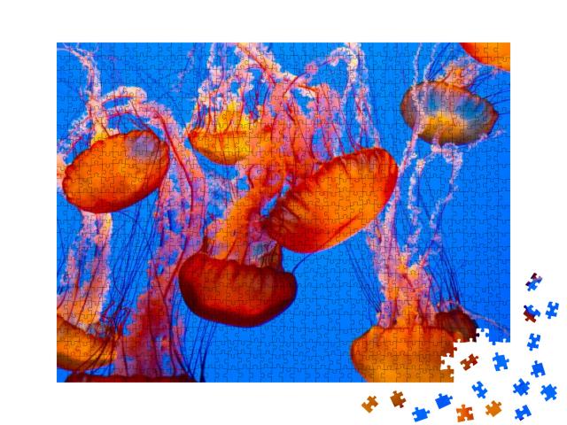 Spectacular Jellyfish... Jigsaw Puzzle with 1000 pieces