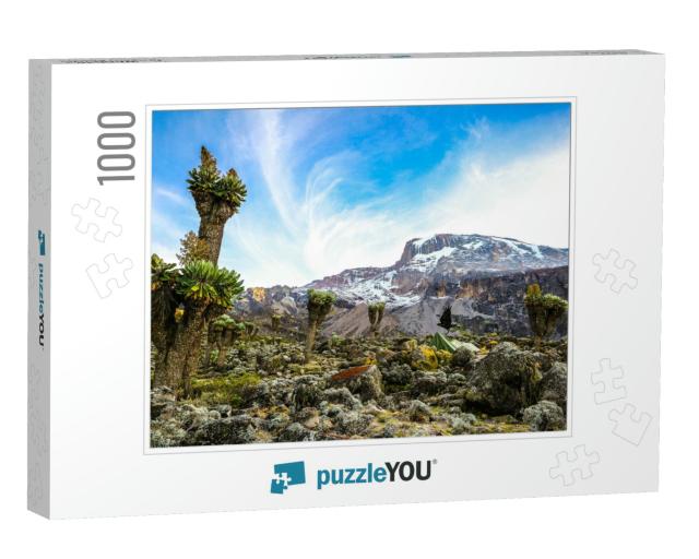 Camping on Mount Kilimanjaro in Tents to See the Glaciers... Jigsaw Puzzle with 1000 pieces
