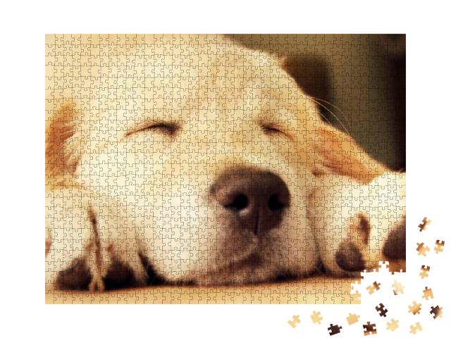 Cute Golden Retriever Puppy Taking a Nap... Jigsaw Puzzle with 1000 pieces