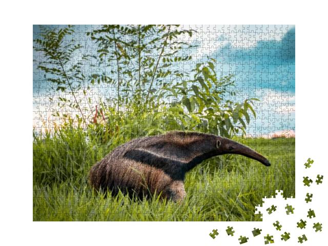 Beautiful Flag Anteater on a Bonito Farm in Brazil... Jigsaw Puzzle with 1000 pieces
