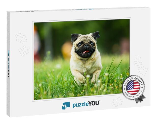 Dog, Pug, Animal, Puppy, Pet, Canine, Cute, Breed, Bulldo... Jigsaw Puzzle