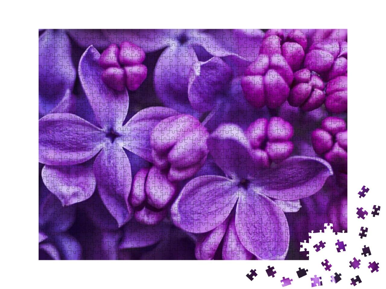 Macro Image of Spring Lilac Violet Flowers, Abstract Soft... Jigsaw Puzzle with 1000 pieces