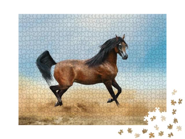 Bay Arabian Horse Running in Desert... Jigsaw Puzzle with 1000 pieces