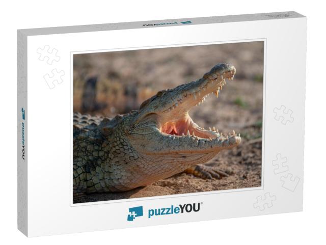 A Nile Crocodile Seen on a Safari in South Africa... Jigsaw Puzzle